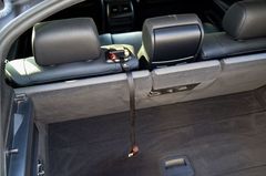 Curli Auto Sicherheitsgurt