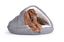 Hundebett Shell Comfort