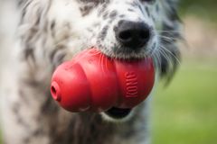 Hundespielzeug KONG CLASSIC S (7cm)