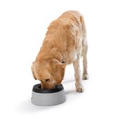 Reisenapf RoadRefresher 1400ml