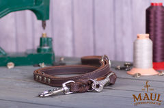 Lederleine "Premium"