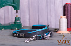 Lederleine "Premium"