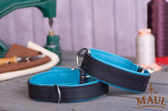 Lederhalsband "Klassik-Premium"