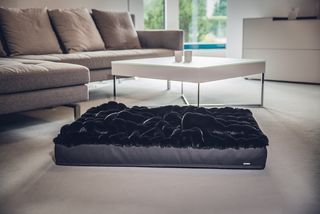 Hundematte-Buddelmatte Blaxxs