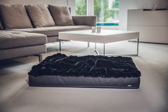 Hundematte-Buddelmatte Blaxxs