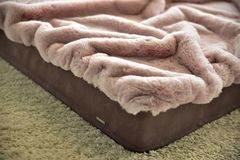 Hundematte-Buddelmatte Cindarella