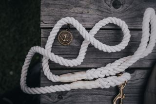 F&uuml;hrleine aus Tau List 12 mm/140 cm