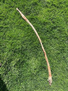 Ochsenziemer ca. 120 cm mit Fleischkopf