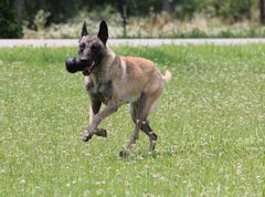 Hunter KONG Extreme in Schwarz