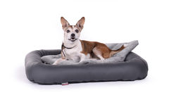 Hundekissen Primuss Kunstleder