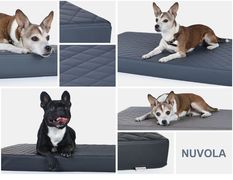 Hundematte Nuvola Kunstleder gesteppt