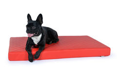 Hundematte Nuvola Kunstleder gesteppt