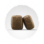 Gefl&uuml;gel & Forelle "EXCLUSIV"