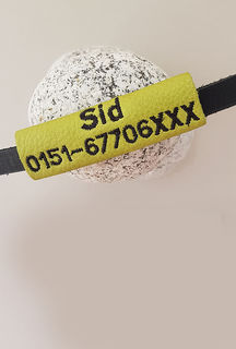 Halsbandcover mit Wunschstickerei