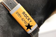 Halsbandcover mit Wunschstickerei