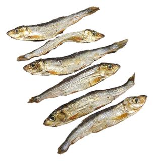 Sprotten getrocknet 125g