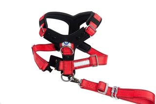 Hundesicherheitsgurt Allsafe Comfort T&Uuml;V gepr&uuml;ft