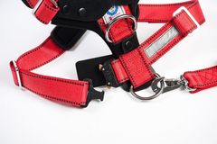 Hundesicherheitsgurt Allsafe Comfort T&Uuml;V gepr&uuml;ft