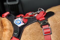 Hundesicherheitsgurt Allsafe Comfort L