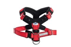 Hundesicherheitsgurt Allsafe Comfort L