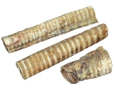 Rinderstrosse 30cm 1kg