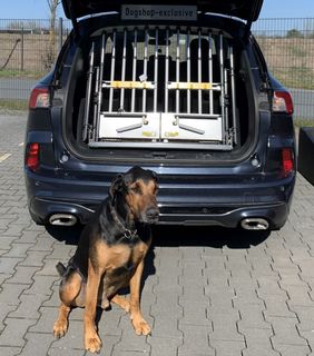 Vario Gate Heckgitter inkl. Einbau vor Ort