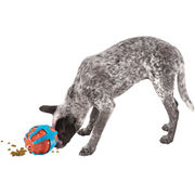 Hunter KONG Treat Spinner