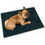 Schmutzfang-Hundematte Waterloo M 80 x 60 cm