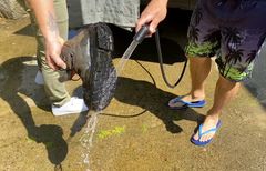 Lavese "Outdoor" mobiles Waschbecken inkl. Dusche