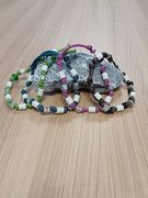 EM-Kette Hund *nat&uuml;rlich* gegen Zecken